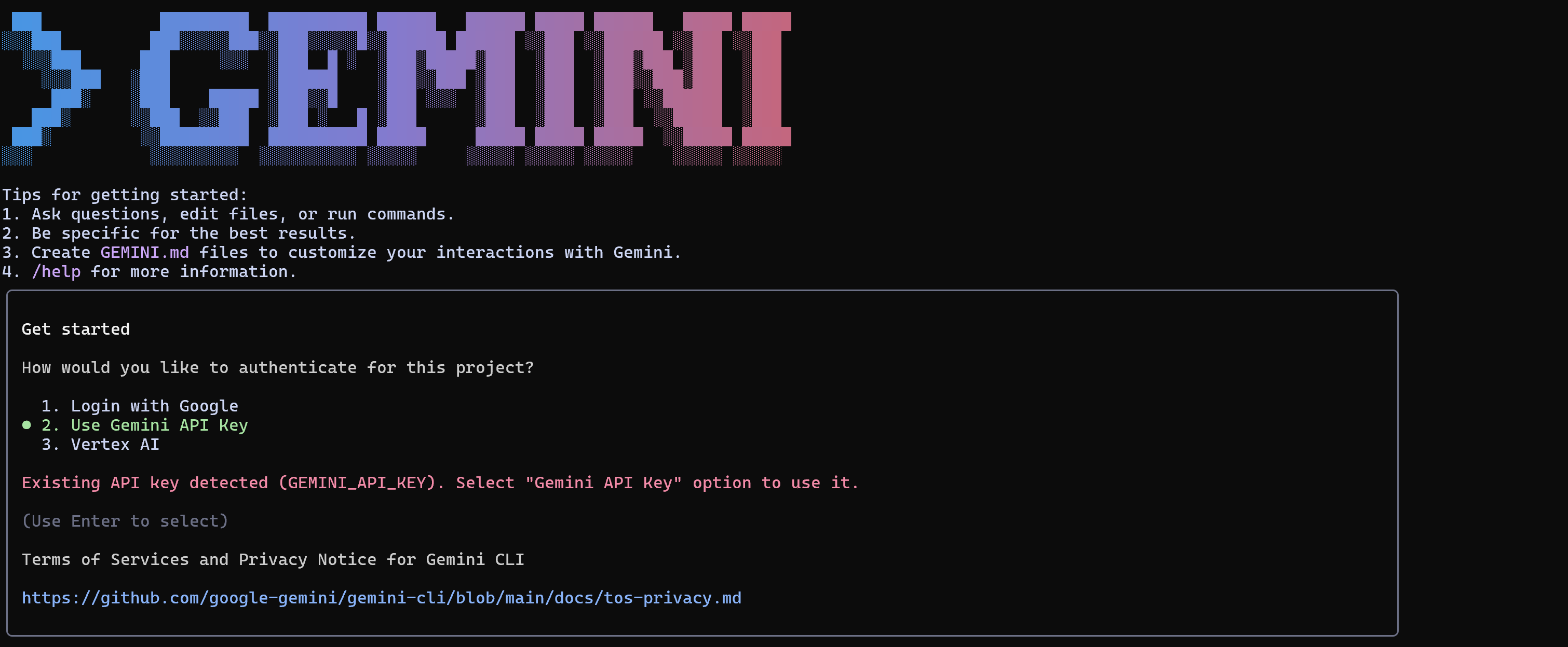 La vista de autenticación de Gemini CLI