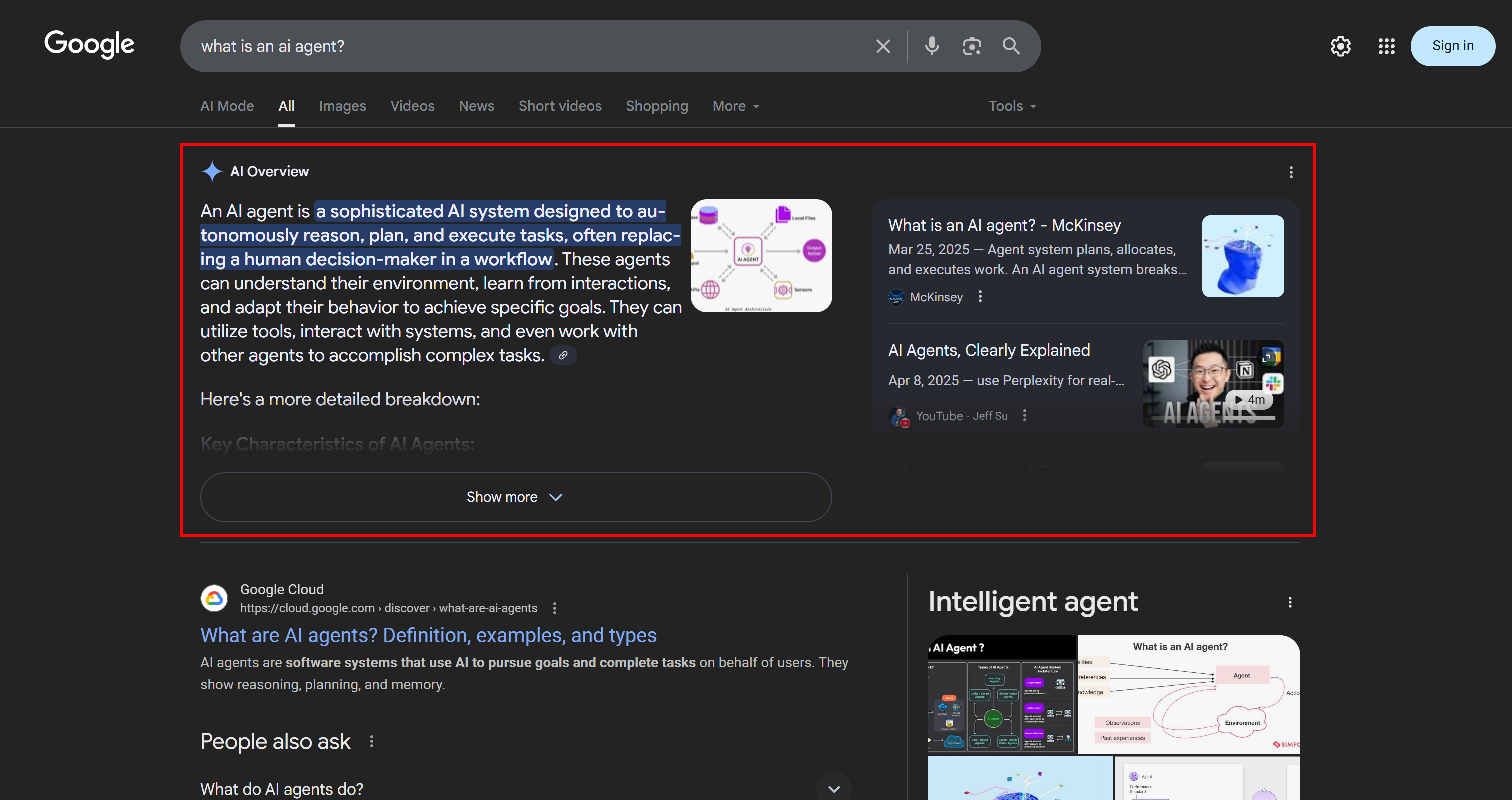 Un ejemplo de visión general de la IA de Google