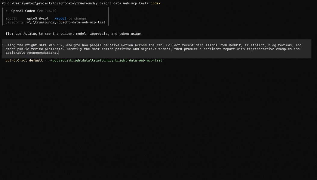 Ejecución del prompt en OpenAI Codex CLI